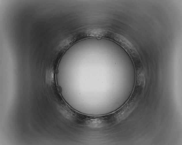 X0000116550310200912171354