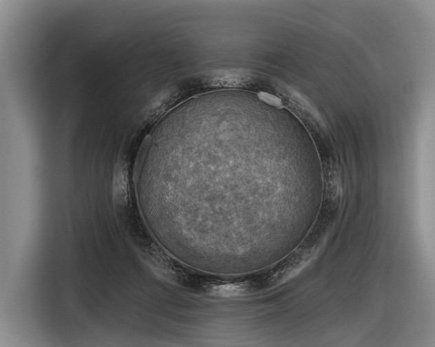 X0000116550312200912171354