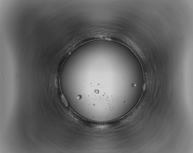 X0000116550313200912171354