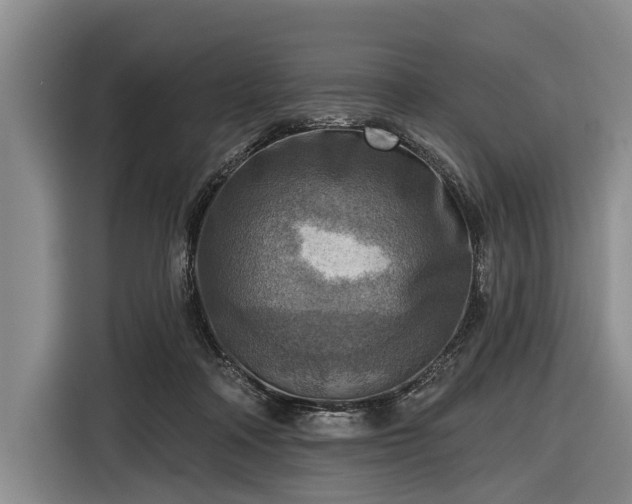 X0000116550314200912171354