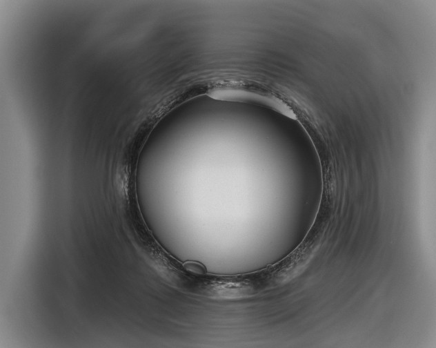 X0000116550315200912171354