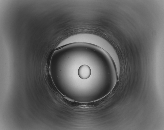 X0000116550316200912171354