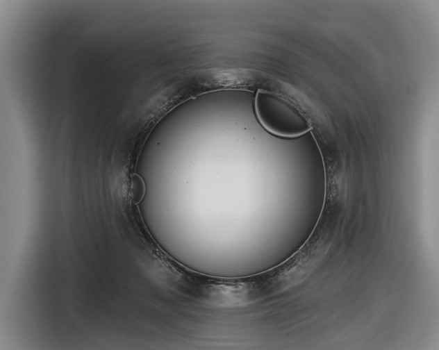 X0000116550317200912171354