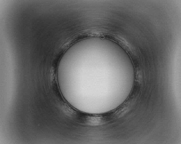 X0000116550318200912171354