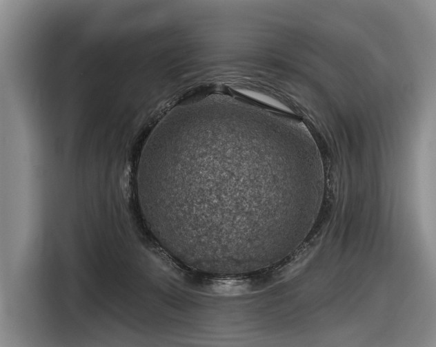 X0000116550319200912171354