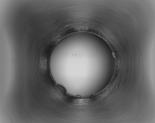 X0000116550323200912171354