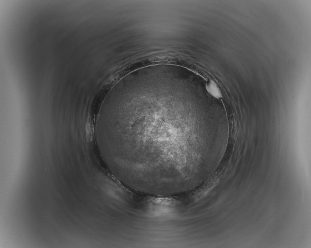 X0000116550324200912171354