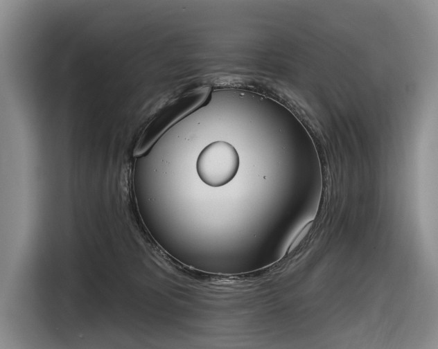 X0000116550325200912171354