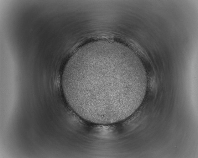 X0000116550326200912171354