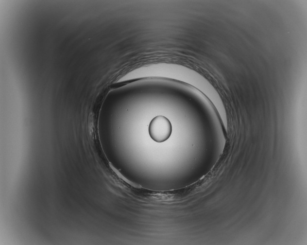 X0000116550328200912171354