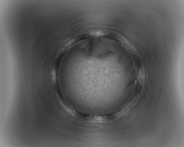 X0000116550330200912171354