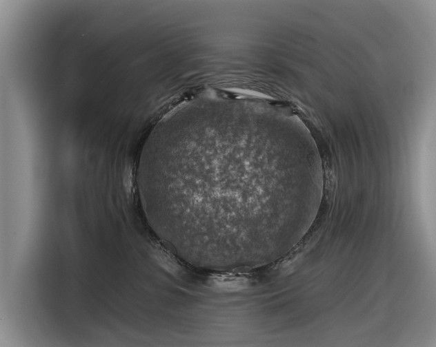 X0000116550331200912171354