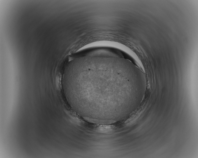 X0000116550332200912171354