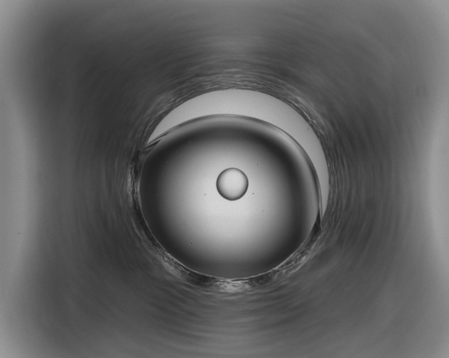 X0000116550333200912171354