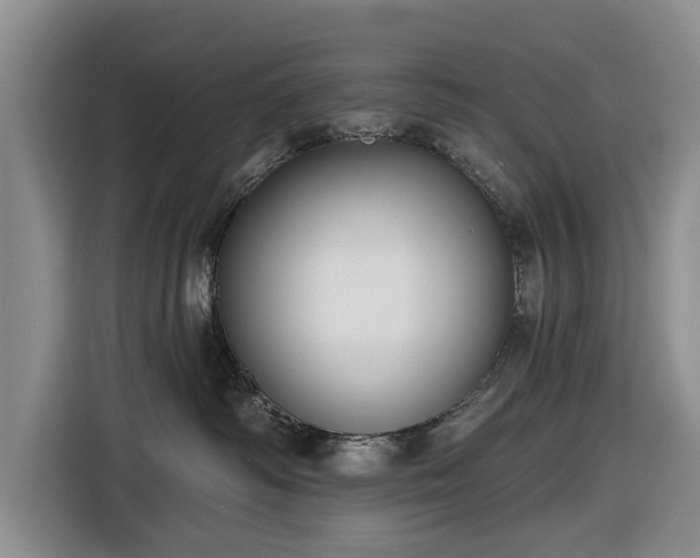 X0000116550334200912171354