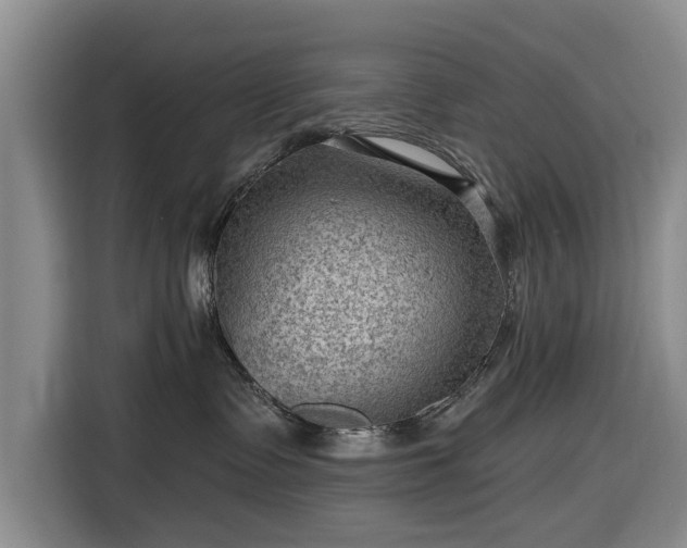 X0000116550335200912171354