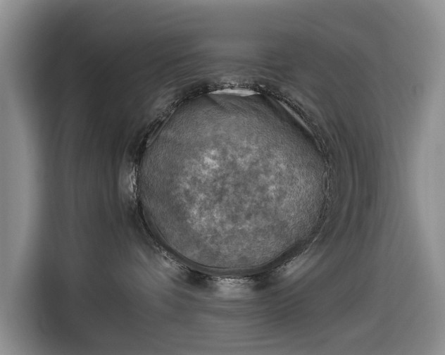 X0000116550336200912171354