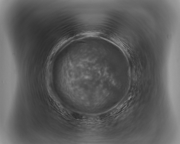 X0000116550337200912171353