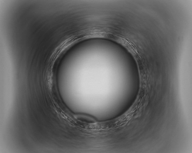 X0000116550338200912171353