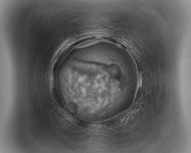 X0000116550339200912171353