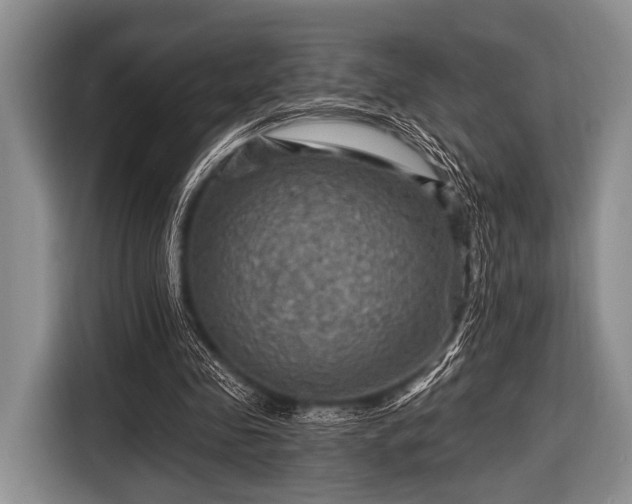 X0000116550341200912171353