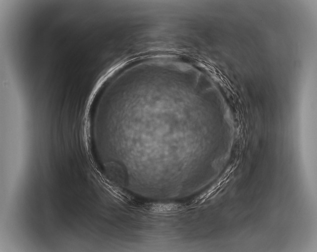 X0000116550342200912171353