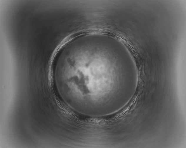 X0000116550343200912171353