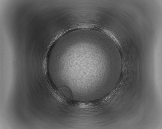 X0000116550346200912171353