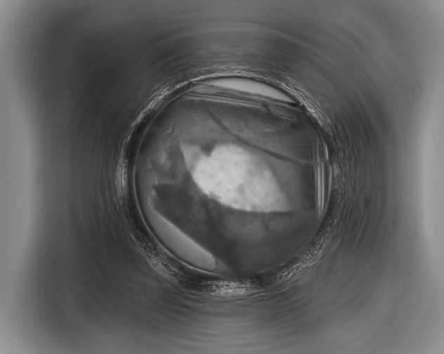 X0000116550347200912171353