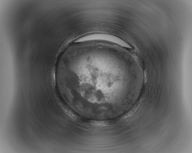 X0000116550349200912171353