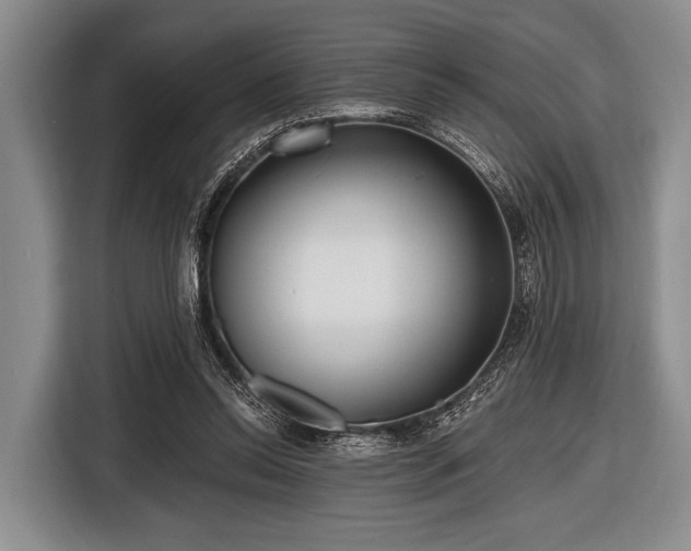 X0000116550350200912171353