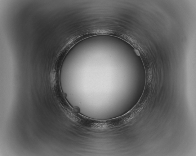 X0000116550351200912171353