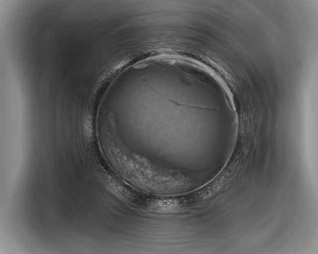 X0000116550353200912171353