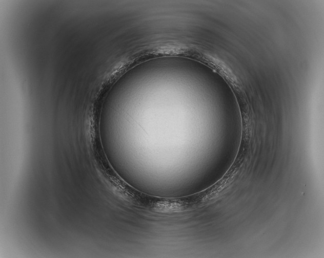 X0000116550354200912171353