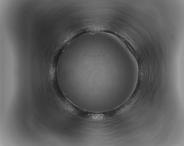 X0000116550355200912171353