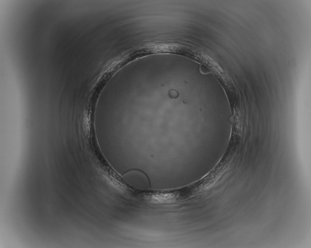 X0000116550357200912171353