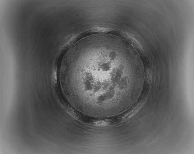 X0000116550358200912171353