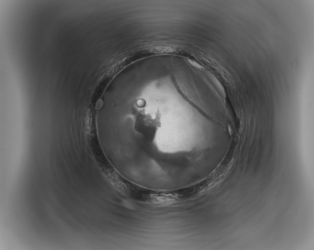 X0000116550359200912171353