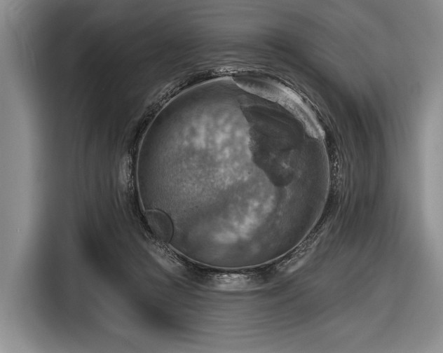 X0000116550361200912171353