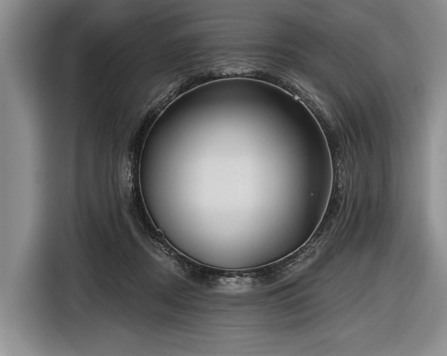 X0000116550362200912171353