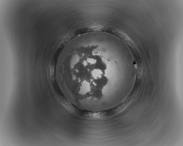 X0000116550365200912171354