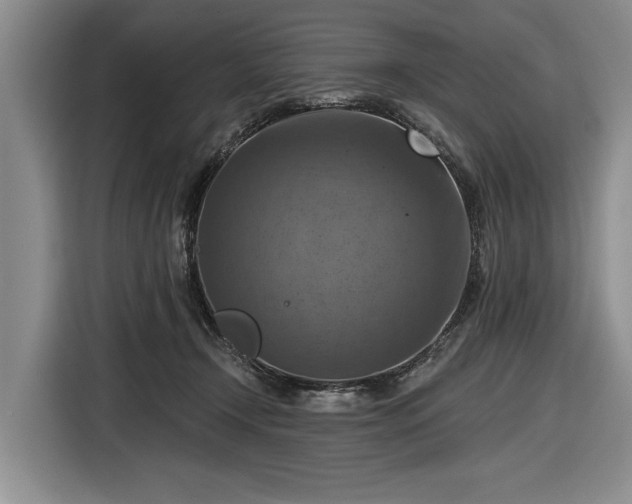 X0000116550366200912171354