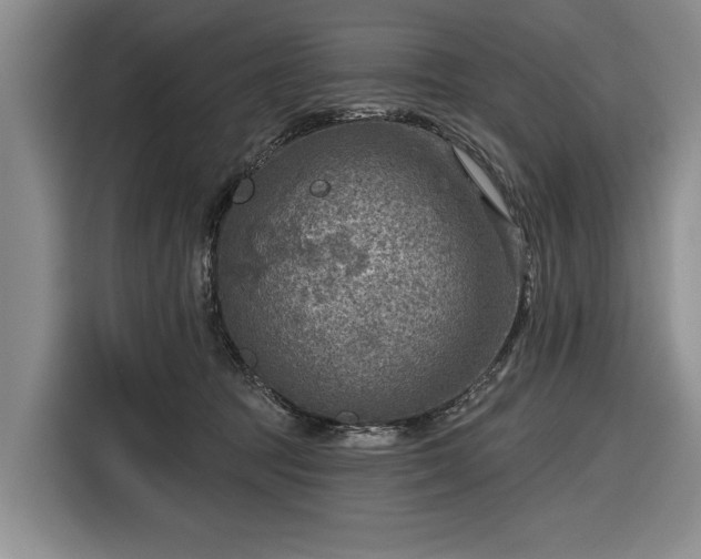 X0000116550369200912171354