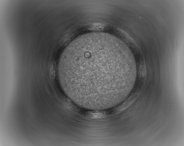 X0000116550370200912171354