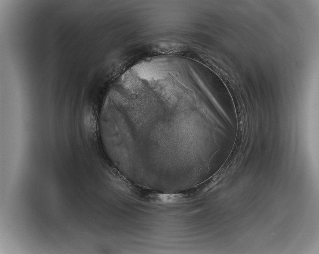 X0000116550371200912171354