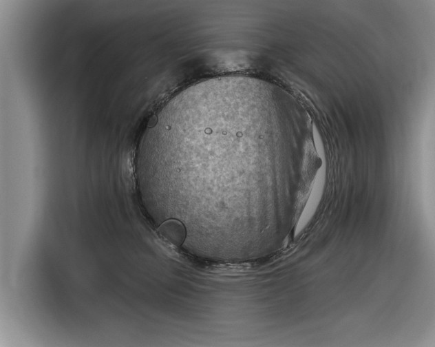 X0000116550373200912171354