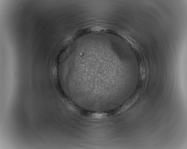 X0000116550375200912171354