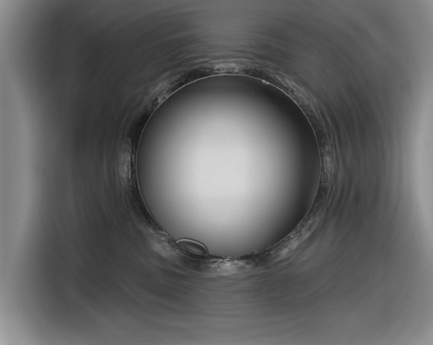 X0000116550379200912171354