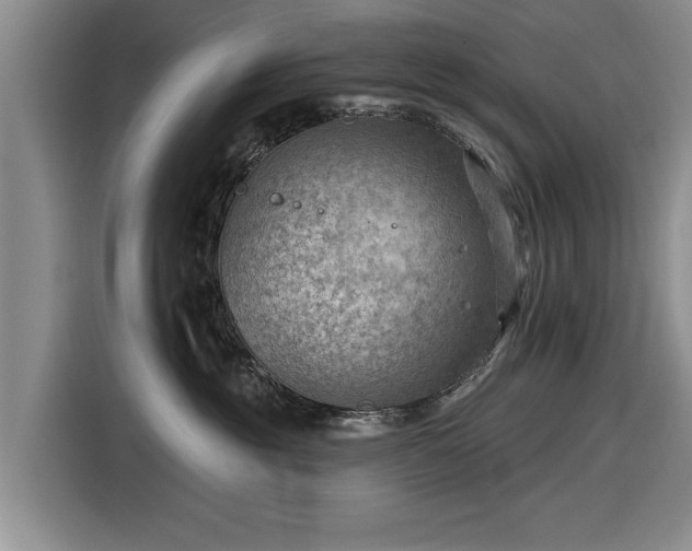 X0000116550381200912171354