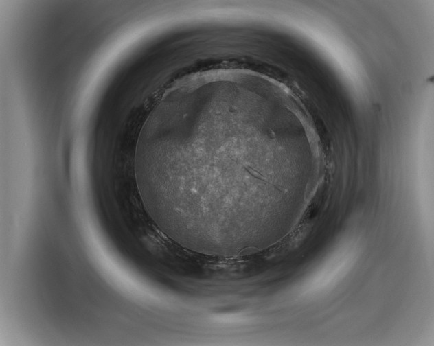 X0000116550383200912171354